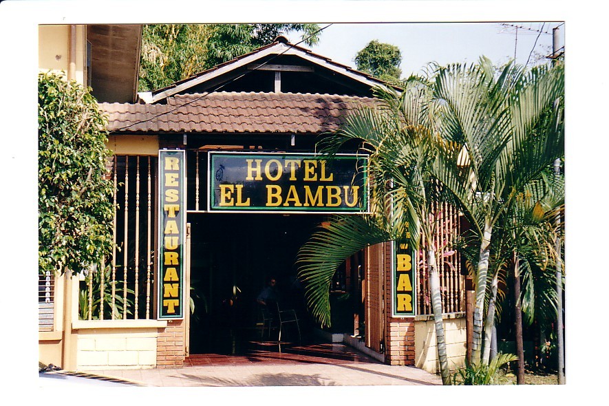ElBambuBild.jpg (219421 Byte)