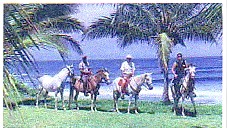 paradiseridingA.jpg (20153 Byte)