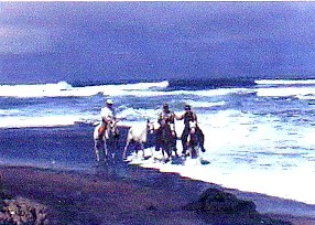 paradiseridingC.jpg (30735 Byte)