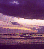 sunsetreef1a.gif (25863 Byte)