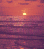 sunsetreef1b.gif (26805 Byte)