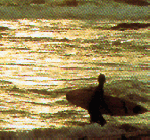 sunsetreef2b.gif (24259 Byte)