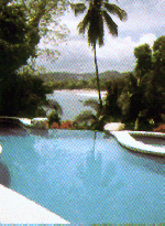 sunsetreef2c.gif (32778 Byte)