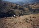 reitenklein.gif (5874 Byte)